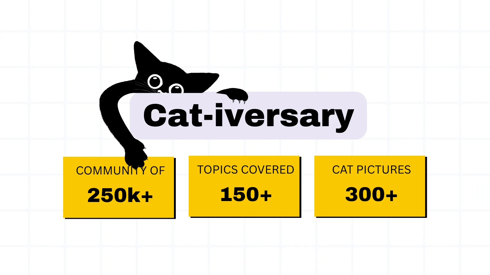 A year of coding.kitty, from the first video to hackthekitty