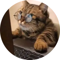 A cat in glasses typing on a laptop